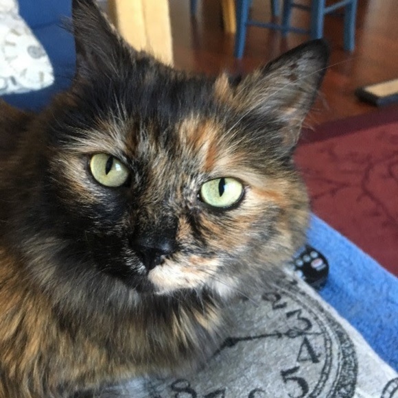 Meet your Posher, Karin - Picture 2 of 5